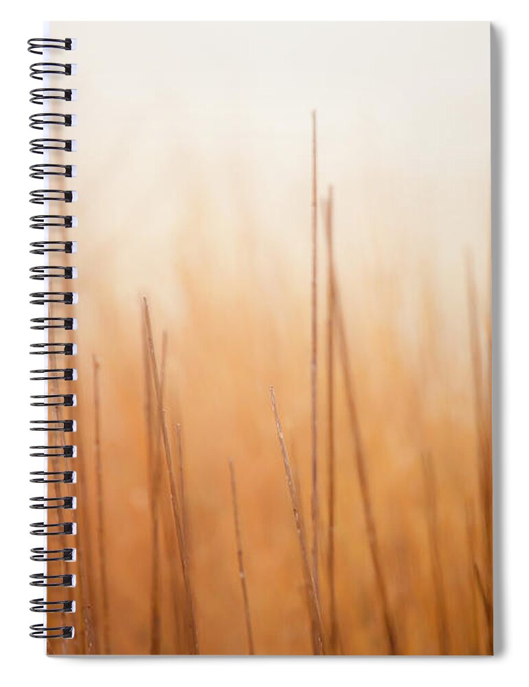Delaware Spiral Notebook featuring the photograph Red-winged Black Bird In Song by Michael Lawrence Photography