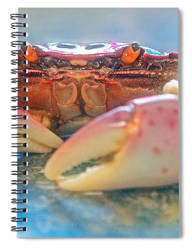 Crab Spiral Notebook featuring the photograph Redrock by Adria Trail