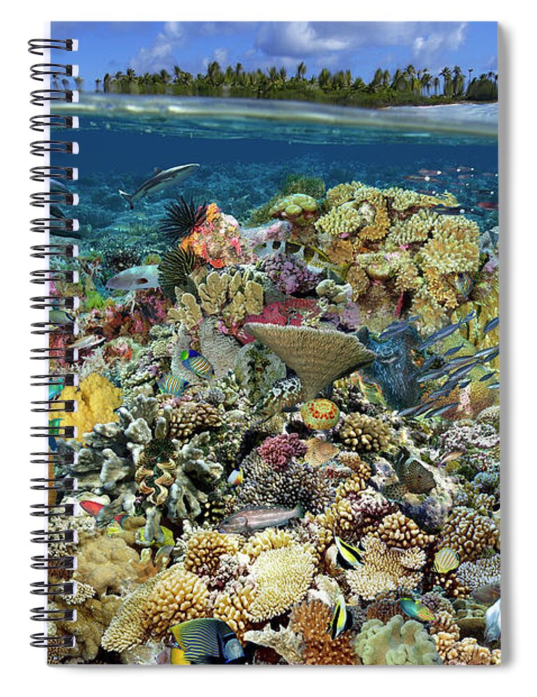 Marine Life Spiral Notebook featuring the digital art Reef Magic by Artesub