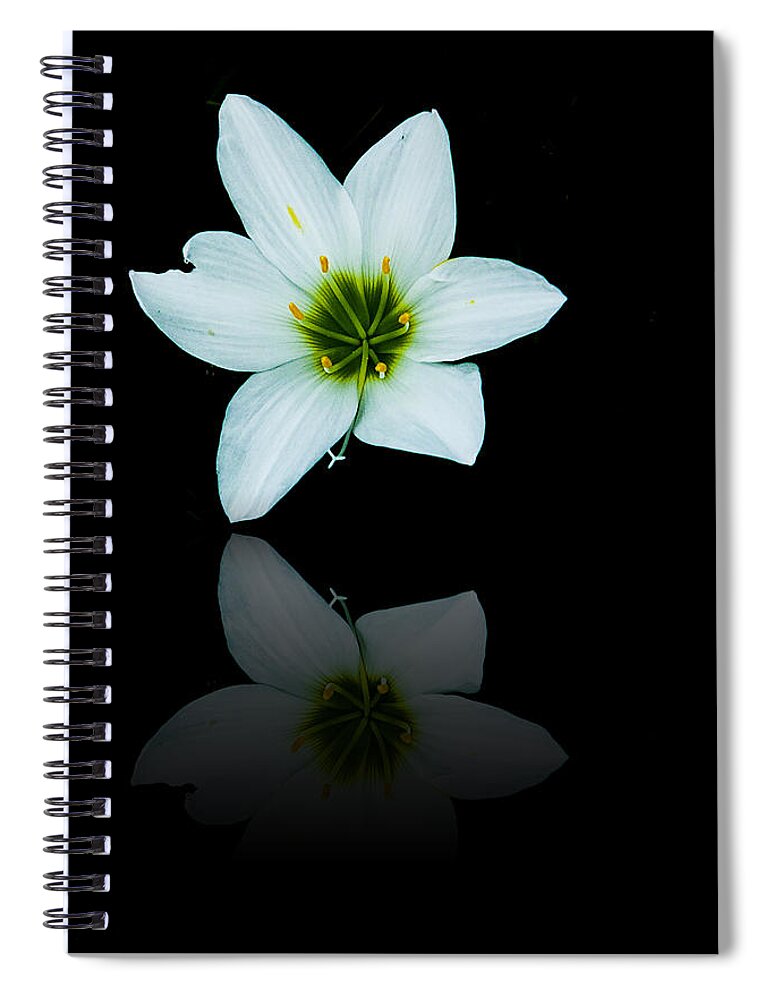 Floral Spiral Notebook featuring the photograph Reflected Iris by Bill Barber