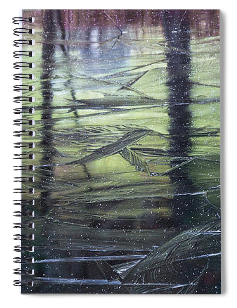 Transitions Spiral Notebook featuring the photograph Reflecting on Transitions by Mary Amerman