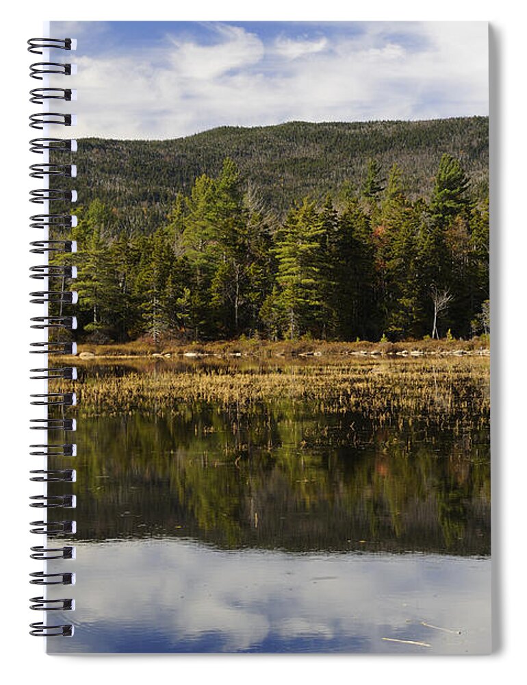 Autumn Spiral Notebook featuring the photograph Reflections at Lily Pond by Luke Moore