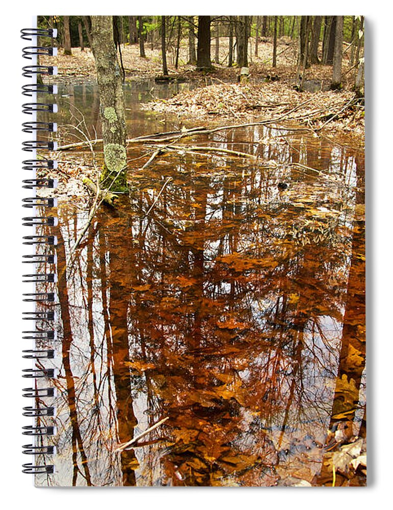 Forest Spiral Notebook featuring the photograph Reflections on a Forest Floor by Mary Lee Dereske