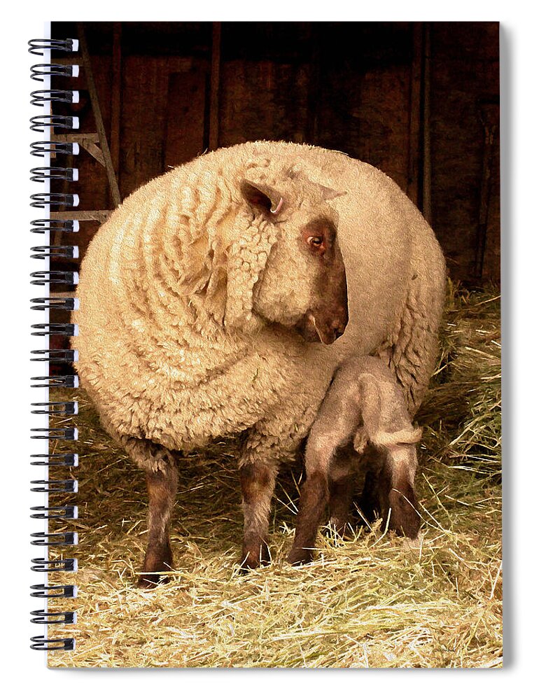 Sheep Spiral Notebook featuring the photograph ReFuel by Kathy Bassett