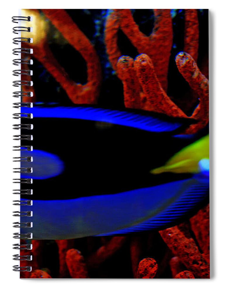 Marine Fish Beauty Spiral Notebook featuring the photograph Regal Tang Blue Fish Beauty by Luther Fine Art