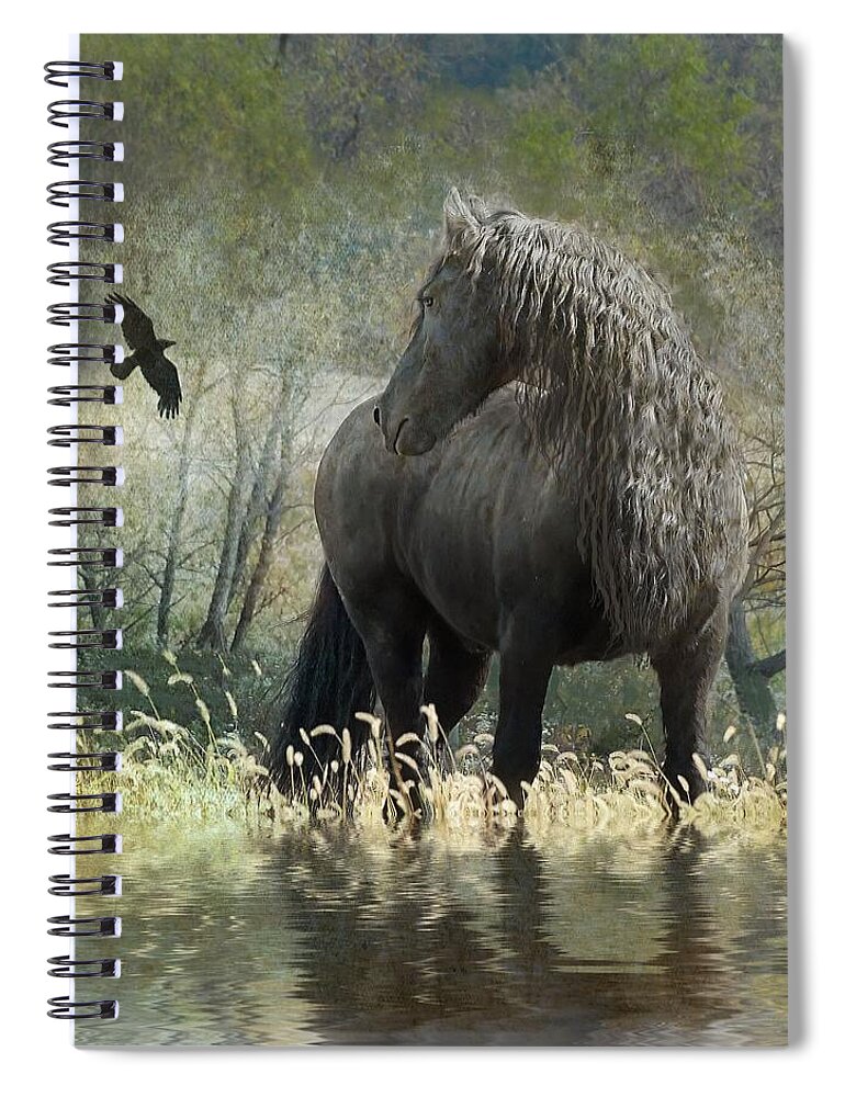 Friesian Horses Spiral Notebook featuring the photograph Remme and the Crow by Fran J Scott