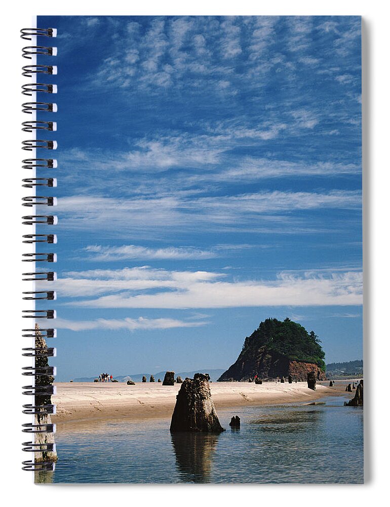 Water's Edge Spiral Notebook featuring the photograph Remnants Of Forest At Oregon Coast by Danielle D. Hughson