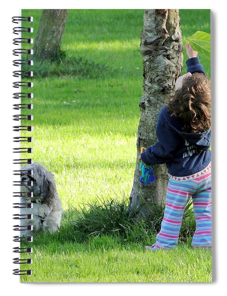 Leaf Spiral Notebook featuring the photograph Replacing by Nick David