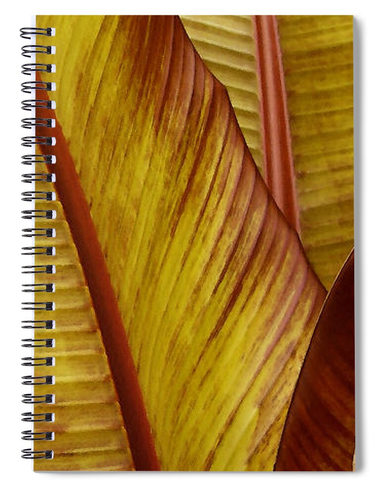 Botanical Abstract Spiral Notebook featuring the photograph Repose - Leaf by Ben and Raisa Gertsberg