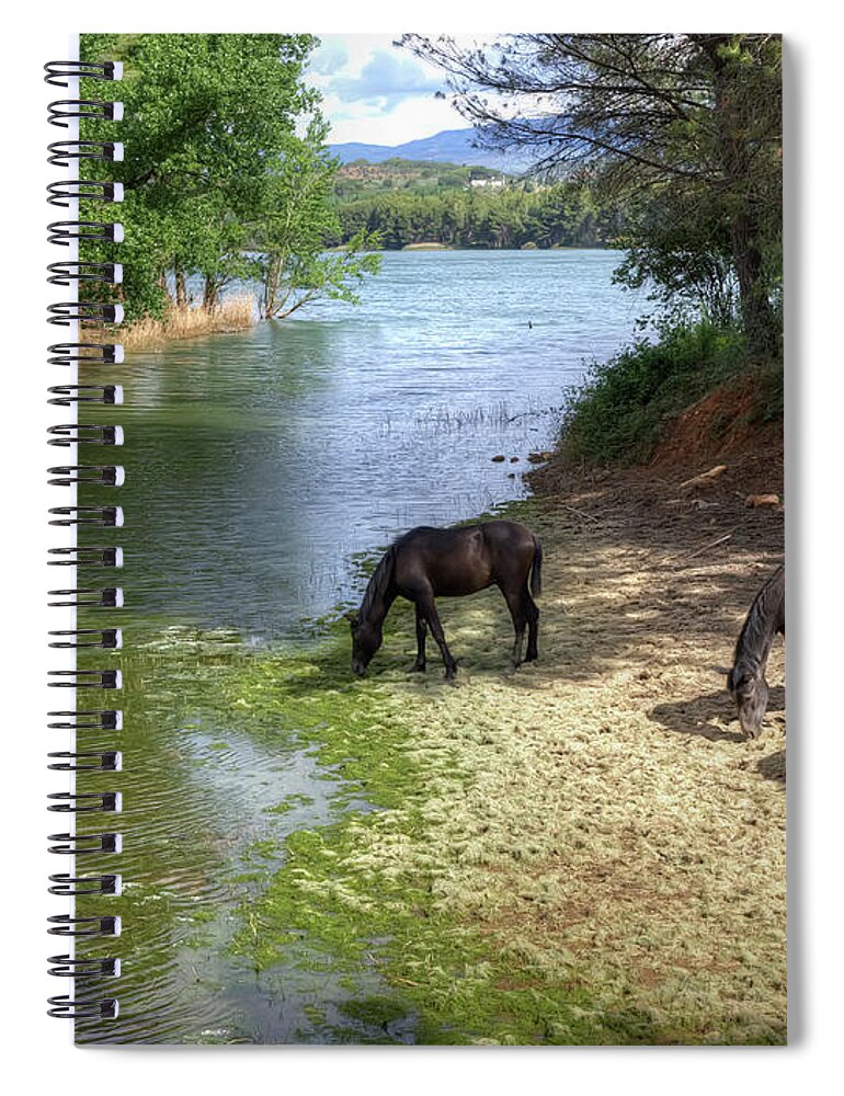 Horse Spiral Notebook featuring the photograph Reservoir Regajo by Quimgranell
