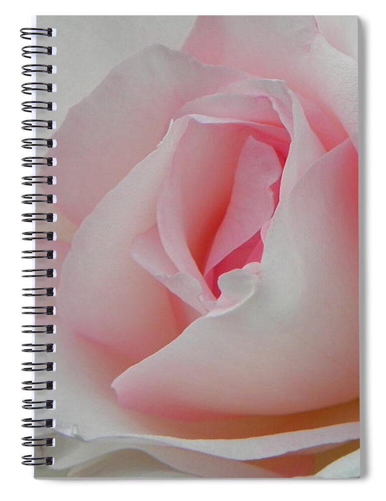 Rose Spiral Notebook featuring the photograph Resplendent by Deb Halloran