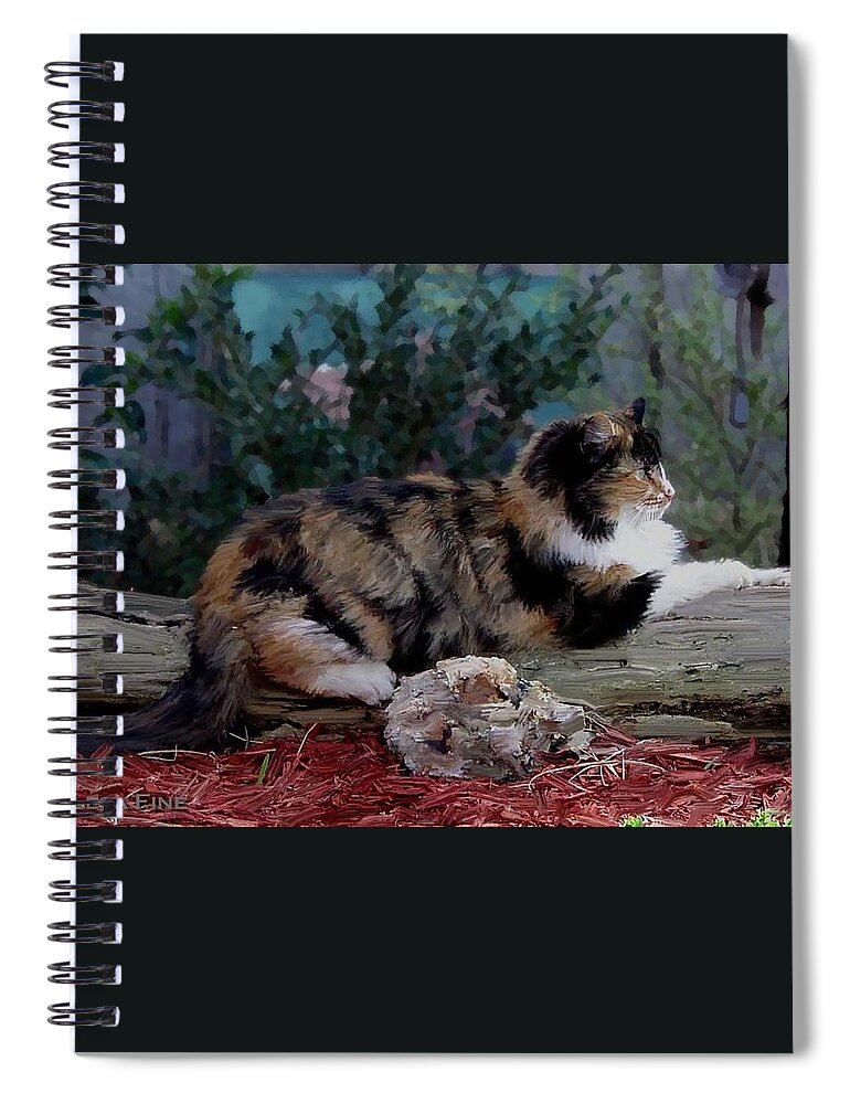 Cat Spiral Notebook featuring the photograph Resting Calico Cat by Lesa Fine
