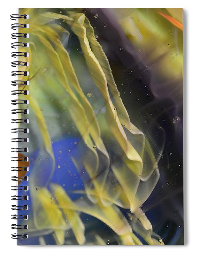 Glass Spiral Notebook featuring the photograph Ribbons in the Sky by Kimberly Lyon