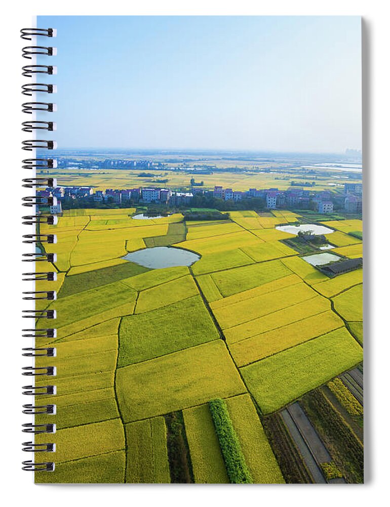 Scenics Spiral Notebook featuring the photograph Rice Field by Yangna