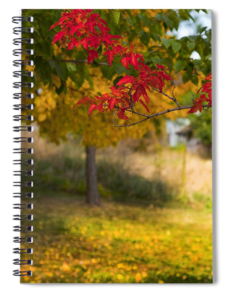 Autumn Spiral Notebook featuring the photograph Riverbend Orchard by Theresa Tahara