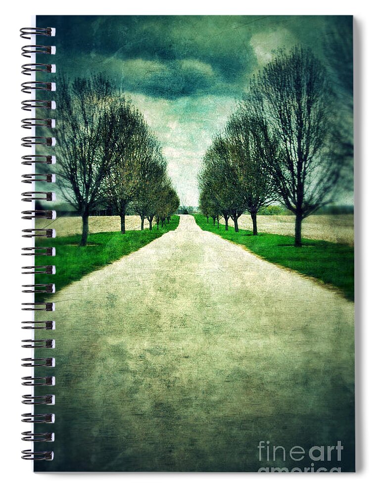 Road Spiral Notebook featuring the photograph Road Lined by Trees by Jill Battaglia