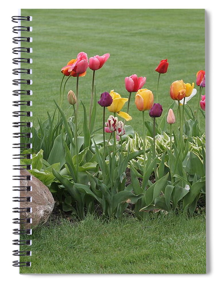 Tulips Spiral Notebook featuring the photograph Tulip and Hosta Garden by Valerie Collins