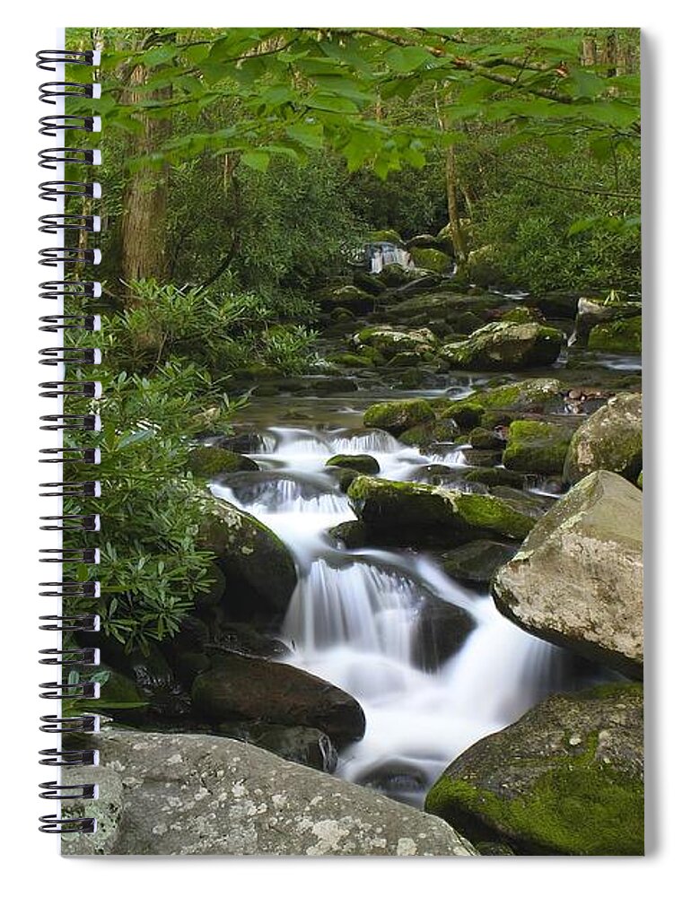Art Prints Spiral Notebook featuring the photograph Roaring Fork by Nunweiler Photography
