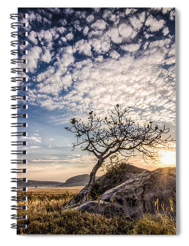 Africa Spiral Notebook featuring the photograph Rock Tree and Rising Sun by Mike Gaudaur