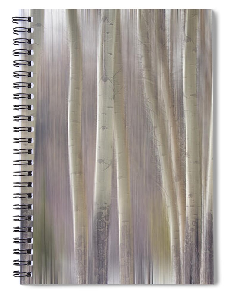 Surreal Spiral Notebook featuring the photograph Rocky Mountain Winter Aspen Tree Forest Dream by James BO Insogna