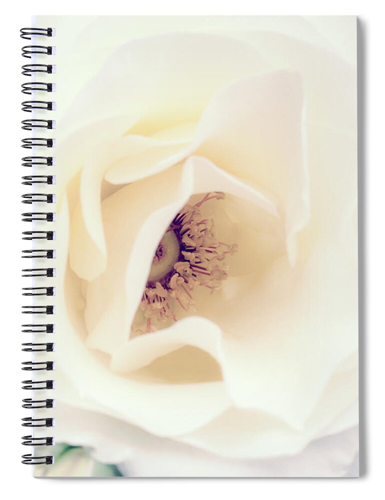 Love Spiral Notebook featuring the photograph Romance in a Rose by Spikey Mouse Photography