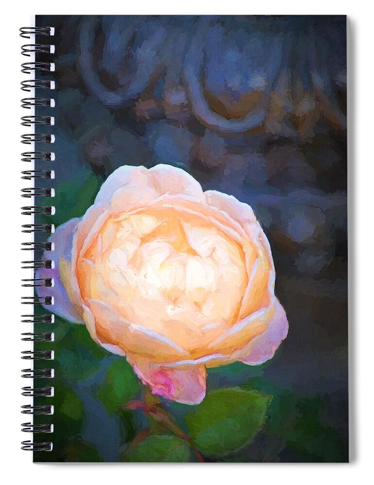 Floral Spiral Notebook featuring the photograph Rose 325 by Pamela Cooper