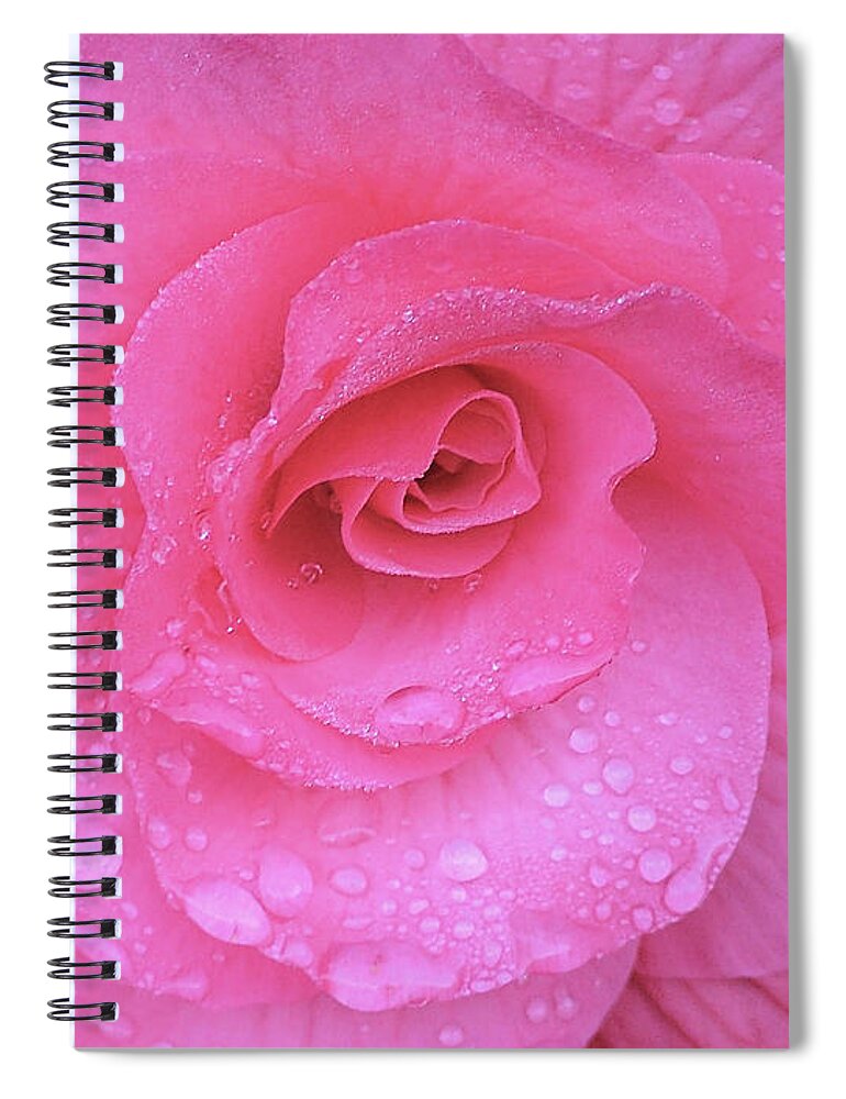 Victoria Bc Spiral Notebook featuring the photograph Rose Drop by Wendy McKennon