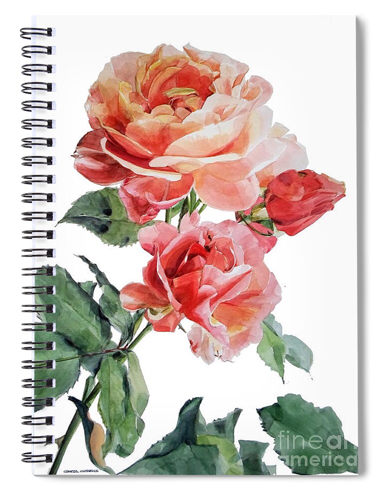 Watercolor Spiral Notebook featuring the painting Watercolor of Red Roses on a stem I call Rose Maurice Corens by Greta Corens