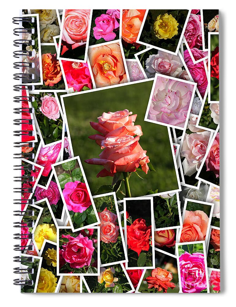 Rose Spiral Notebook featuring the photograph Roses Collage by Stefano Senise