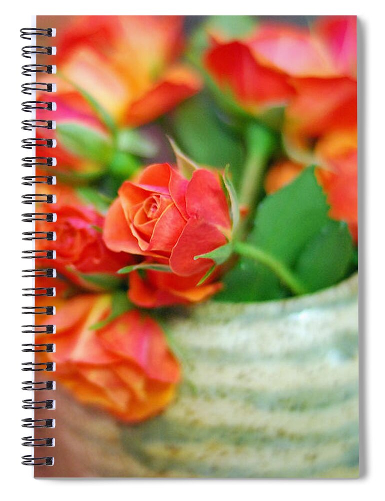 Rosa Berberifolia Spiral Notebook featuring the photograph Roses by Lisa Phillips
