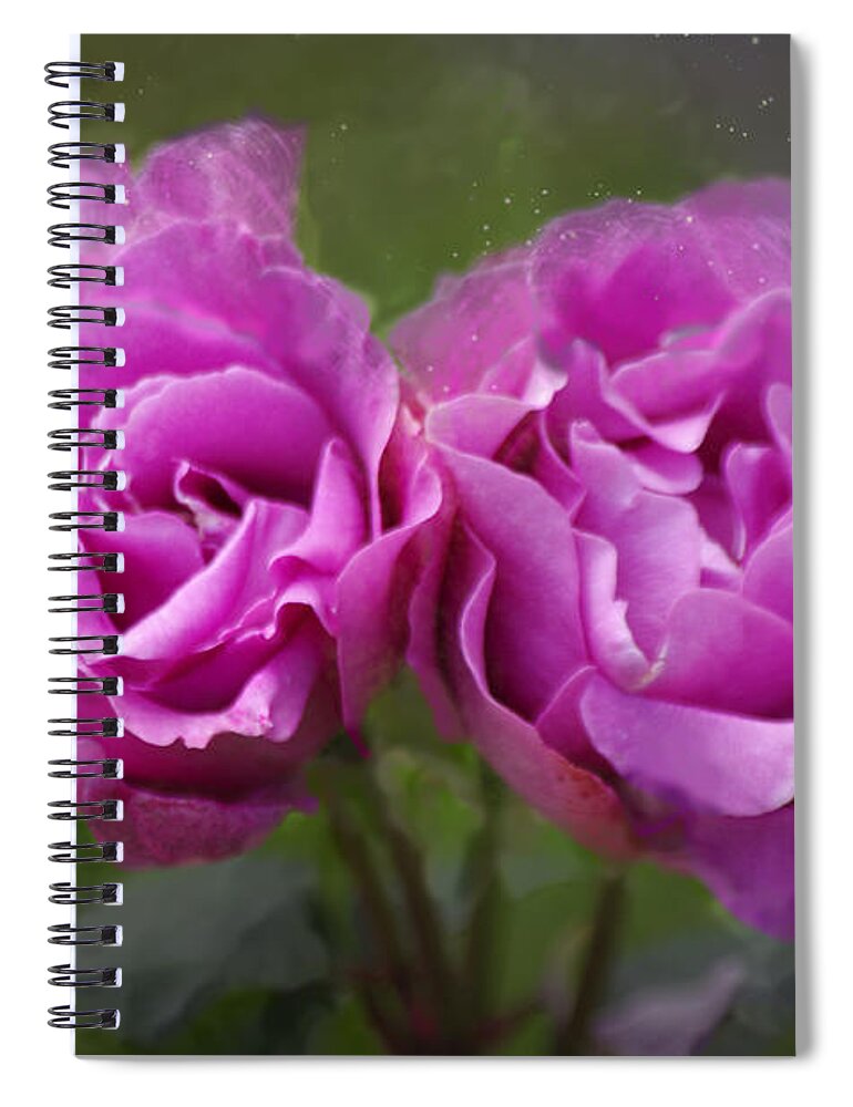 Adria Trail Spiral Notebook featuring the photograph Rosey Twins by Adria Trail