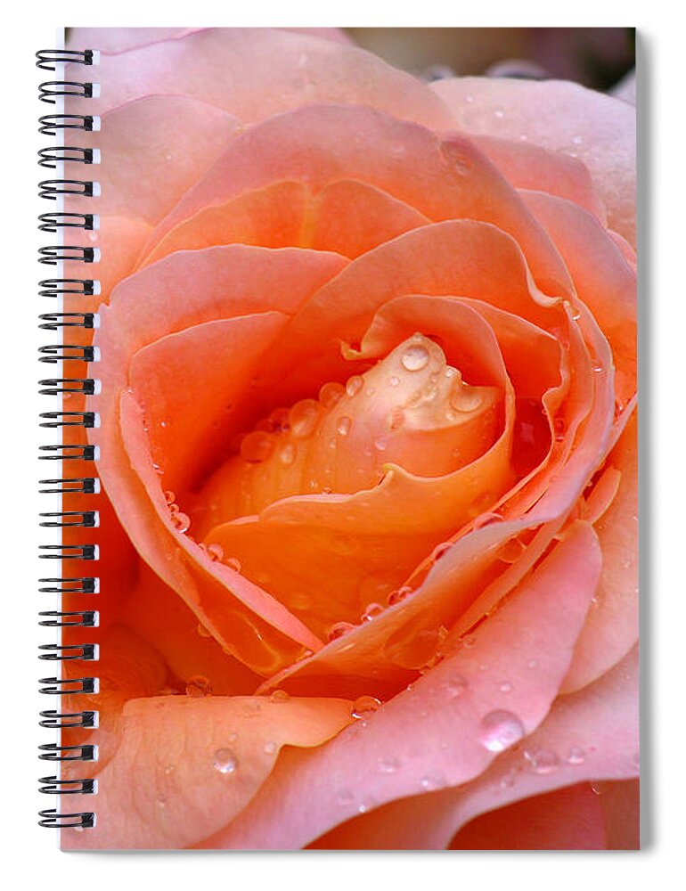 Rose Spiral Notebook featuring the photograph Rosy Rose by Juergen Roth