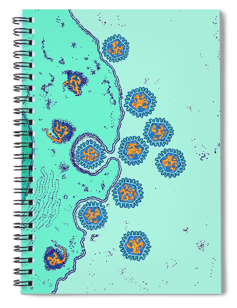 Science Spiral Notebook featuring the photograph Rotavirus Infecting Gi Tract by Chris Bjornberg