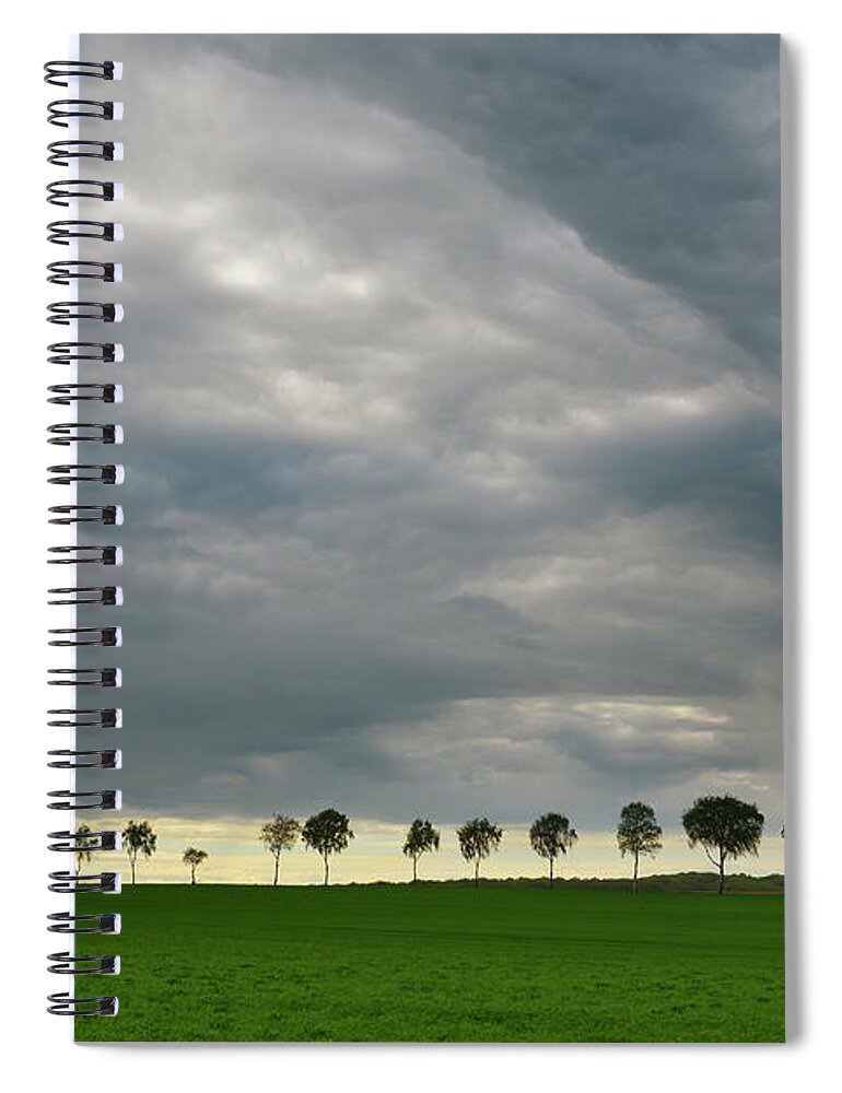 Grass Spiral Notebook featuring the photograph Row Of Birch Trees With Stormy Sky by Raimund Linke