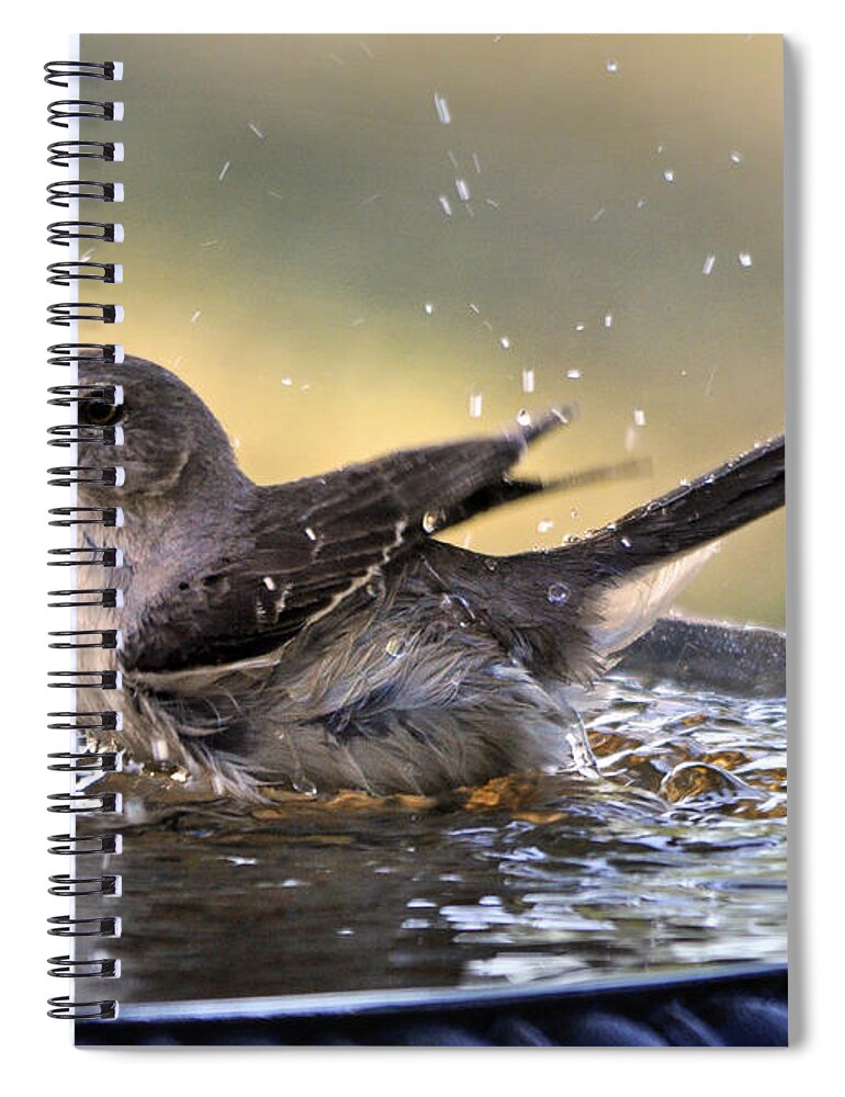 Nature Spiral Notebook featuring the photograph Rub-a-dub-dub Mockingbird by Nava Thompson