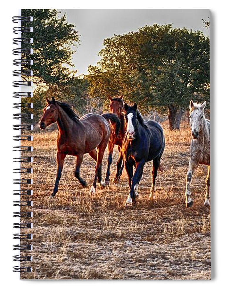 Texas Decor Spiral Notebook featuring the pyrography Running Horses by Kristina Deane