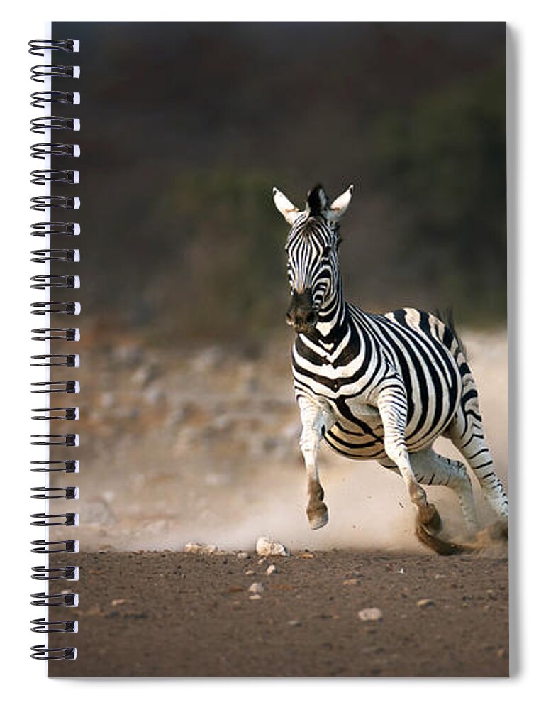 Zebra Spiral Notebook featuring the photograph Running Zebra by Johan Swanepoel