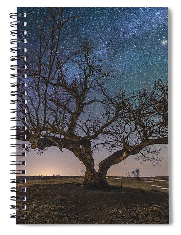 Tree Spiral Notebook featuring the photograph Sacred II by Aaron J Groen