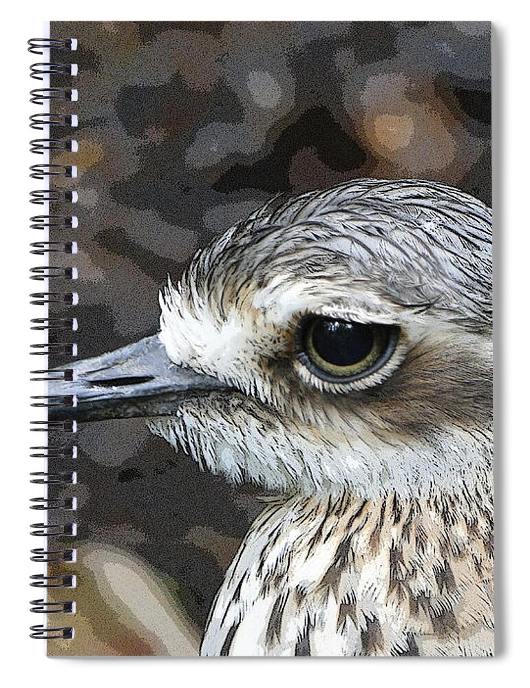 Birds Spiral Notebook featuring the photograph Sad Eyes by Ben Yassa