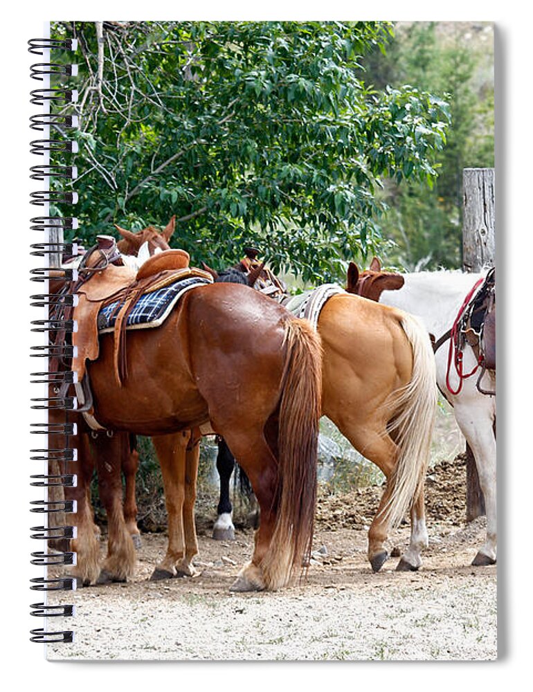 Horses Spiral Notebook featuring the photograph Saddled by Athena Mckinzie