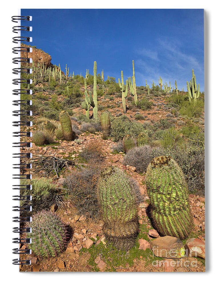 00559179 Spiral Notebook featuring the photograph Saguaro And Barrel Cacti Tonto N M by Yva Momatiuk John Eastcott