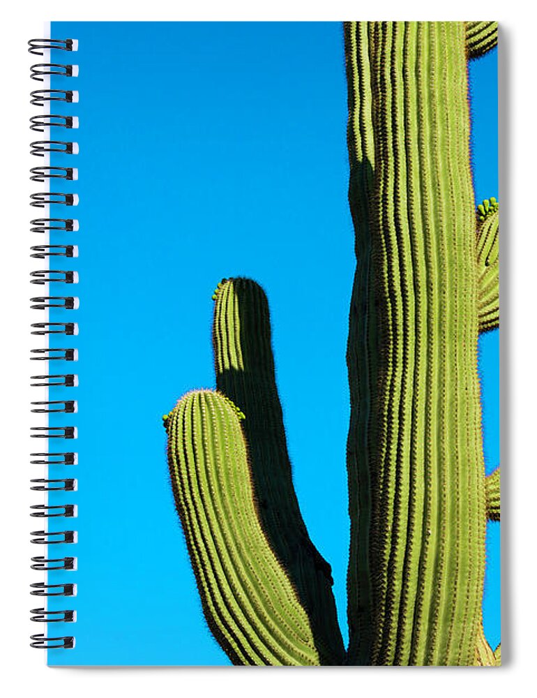 Saguaro Cactus Spiral Notebook featuring the photograph Saguaro Cactus And Deep Blue Desert Sky by Dszc