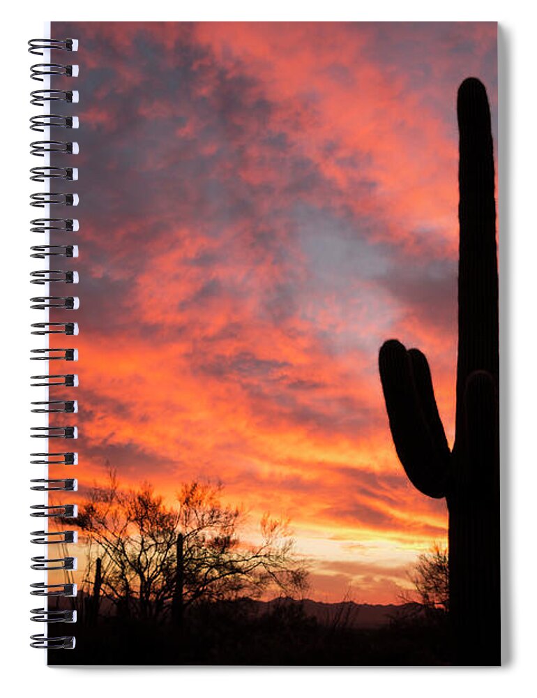 Saguaro Cactus Spiral Notebook featuring the photograph Saguaro Cactus At Sunset by Steve Lewis Stock
