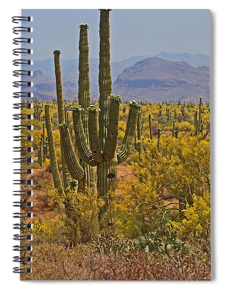 Saguaro In Bloom With Palo Verde Trees Spiral Notebook featuring the photograph Saguaro In Bloom With Palo Verde Trees At The Rolls Below Four Peaks by Tom Janca