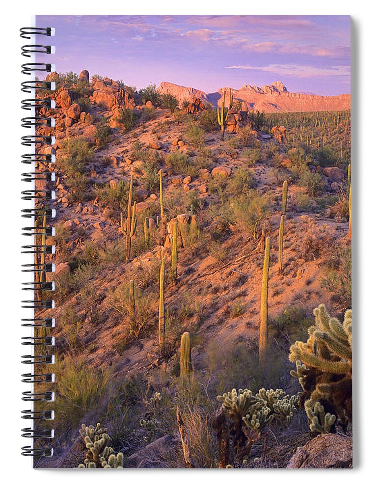 00175898 Spiral Notebook featuring the photograph Saguaro National Park by Tim Fitzharris
