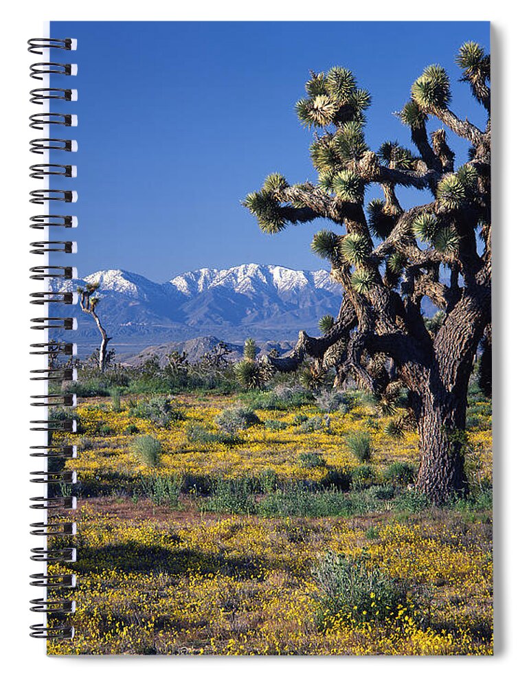 San Gabriel Mountains Spiral Notebook featuring the photograph 1B6804-San Gabriel Mnts from Antelope Valley by Ed Cooper Photography