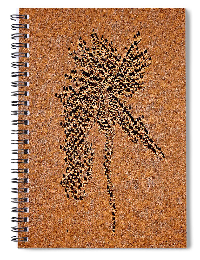 Sand Spiral Notebook featuring the photograph Sand crab patterns 2 by Jocelyn Kahawai