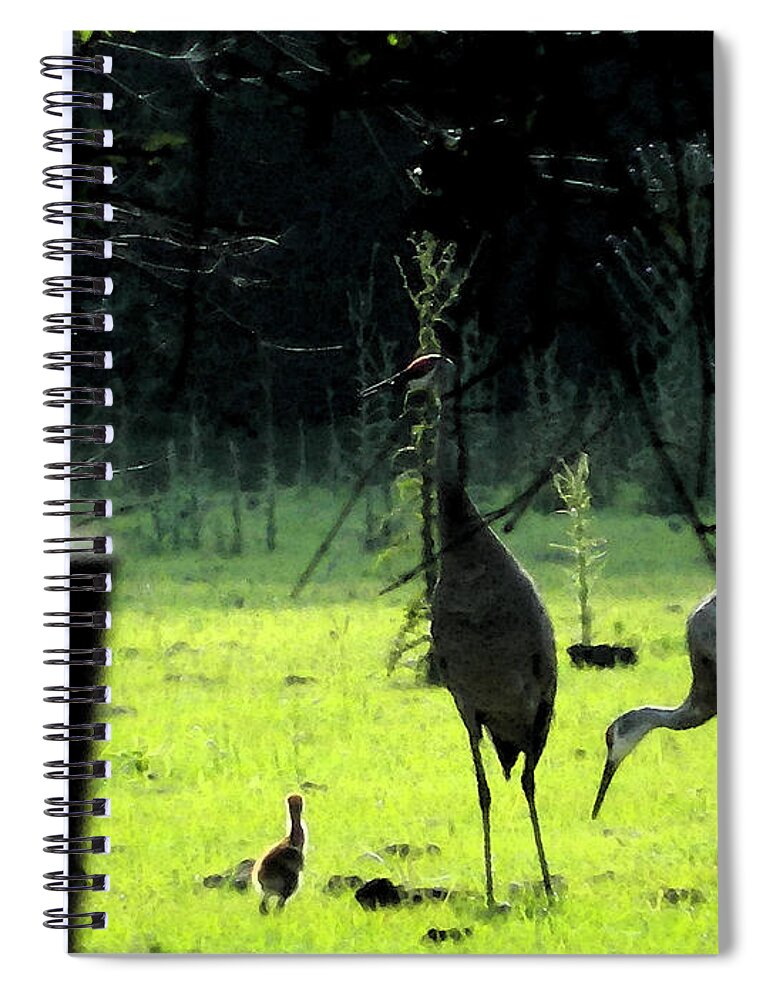 Sandhill Spiral Notebook featuring the painting Sandhill Cranes and the First Chick of Spring by George Pedro