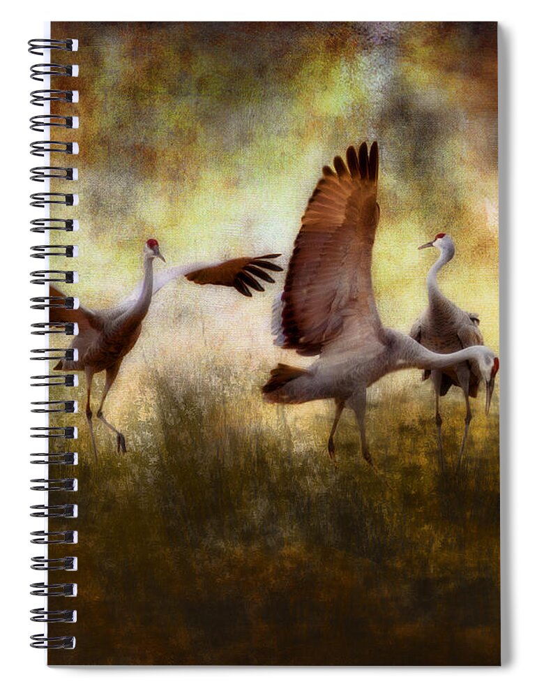 Wildlife Spiral Notebook featuring the photograph Sandhill Cranes by Ellen Heaverlo