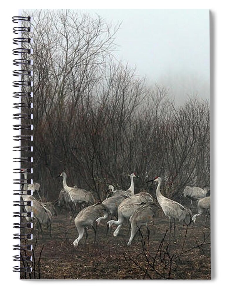 Sandhill Spiral Notebook featuring the photograph Sandhill Cranes in the Fog by Farol Tomson